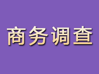 湄潭商务调查